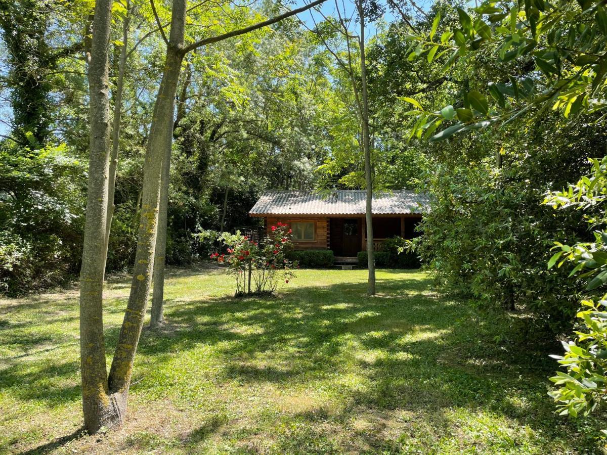 Bastidette Florestane * Saint-Remy-de-Provence