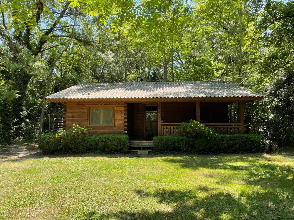 Bastidette Florestane Chalet Saint-Remy-de-Provence