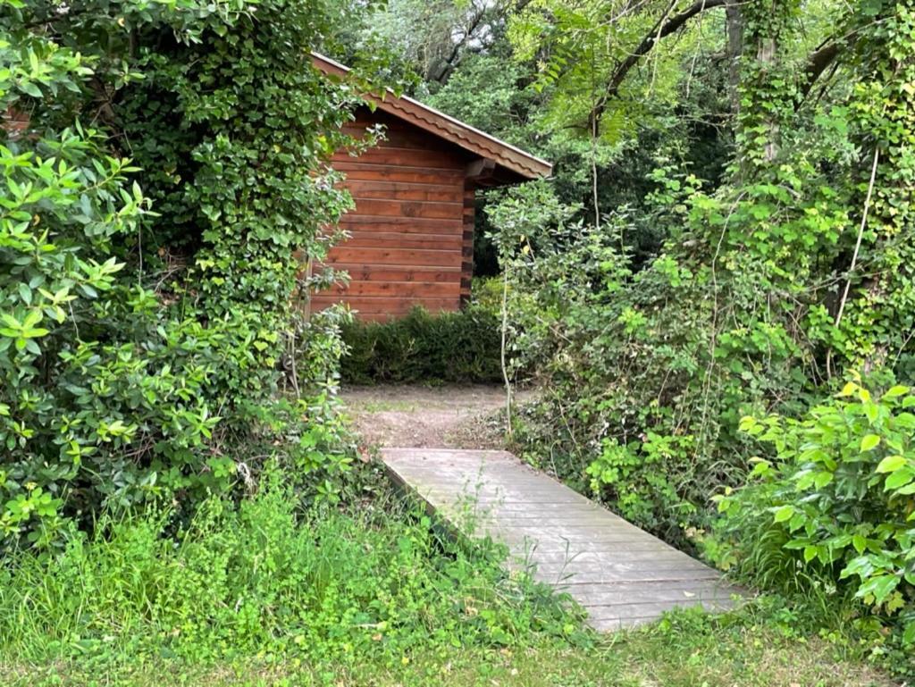 Bastidette Florestane Chalet Saint-Remy-de-Provence