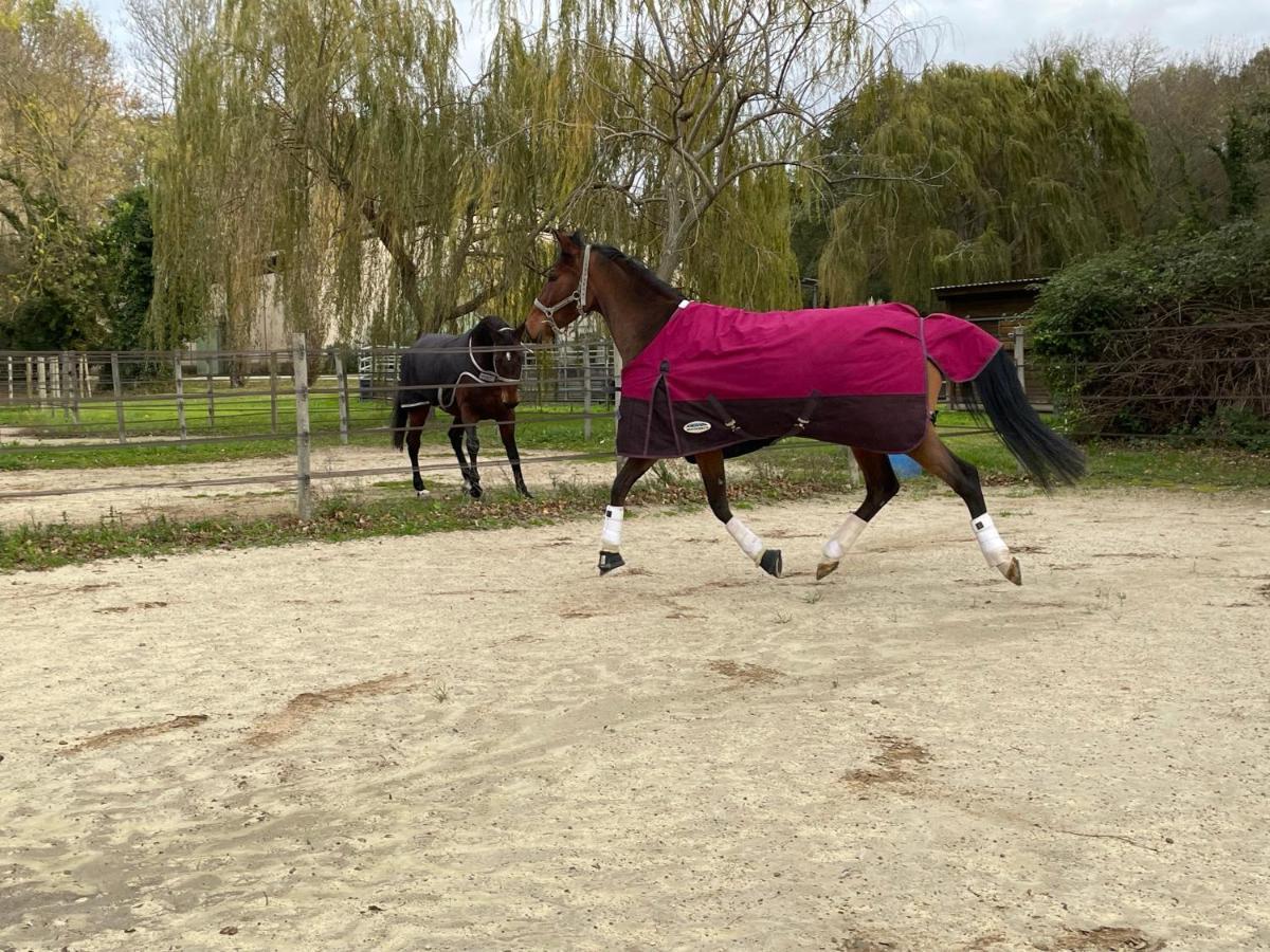 Bastidette Florestane